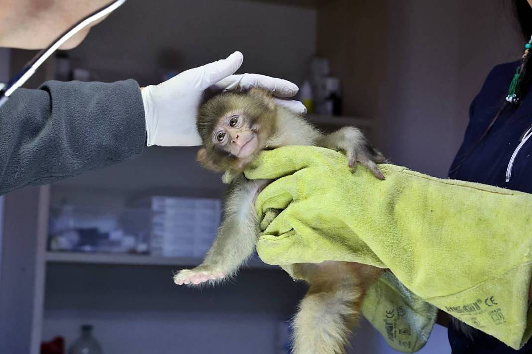 Otobüsle gönderilen koliyi kimse almayınca şoke eden gerçek ortaya çıktı! Hiç kimse bu kadar absürtlüğü tahmin edemezdi 8